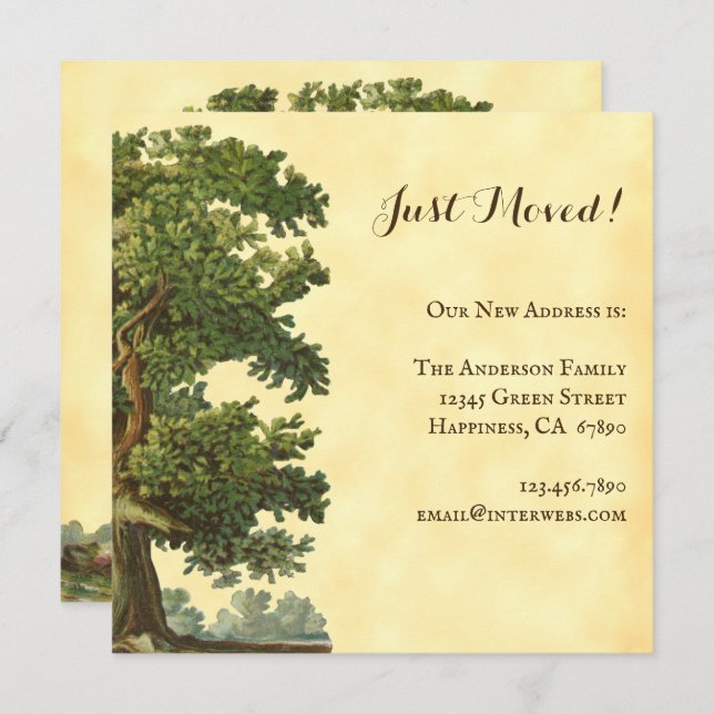 Editable Vintage Oak Tree Just Moved Square Card (Front/Back)