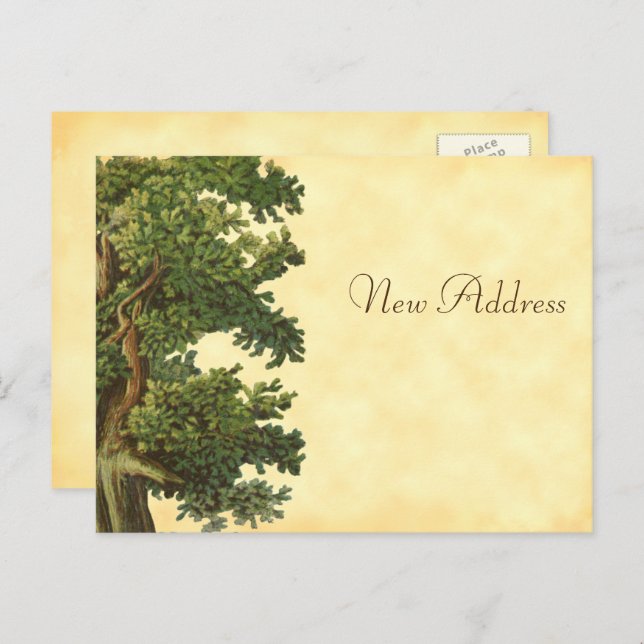 Editable Vintage Oak Tree New Address Postcard (Front/Back)