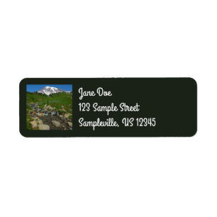 Edith Creek at Mount Rainier National Park