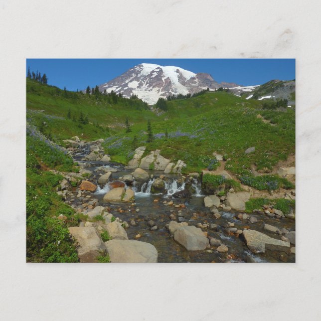 Edith Creek at Mount Rainier National Park Postcard (Front)