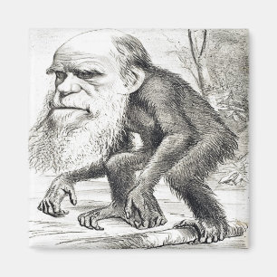 Editorial Cartoon Of Charles Darwin 1871 Magnet
