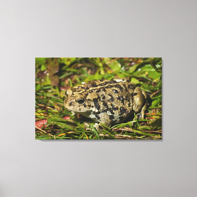 edmonton, alberta, canada 2 canvas print (Front)