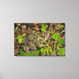 edmonton, alberta, canada canvas print