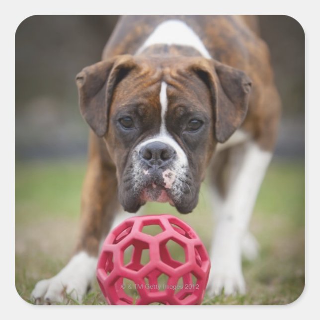 edmonton alberta canada square sticker (Front)