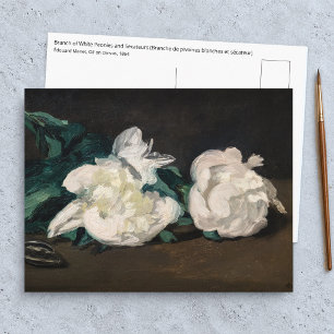 Edouard Manet - Branch of White Peonies, Secateurs Postcard