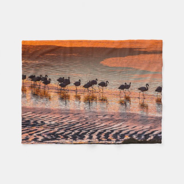 Eduardo Abaroa Andean Fauna National Reserve Fleece Blanket (Front (Horizontal))