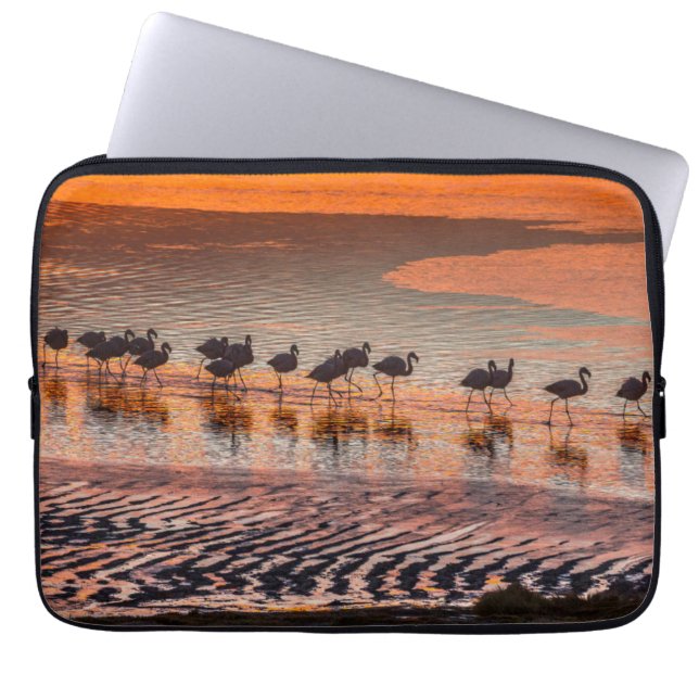 Eduardo Abaroa Andean Fauna National Reserve Laptop Sleeve (Front)