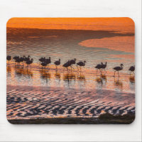 Eduardo Abaroa Andean Fauna National Reserve