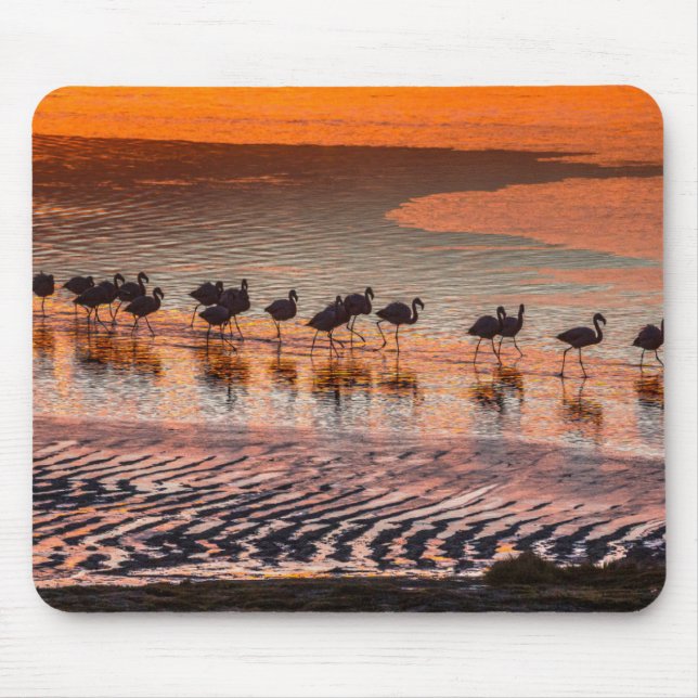 Eduardo Abaroa Andean Fauna National Reserve Mouse Mat (Front)