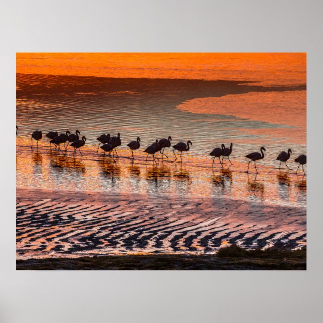 Eduardo Abaroa Andean Fauna National Reserve Poster (Front)