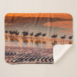 Eduardo Abaroa Andean Fauna National Reserve Sherpa Blanket