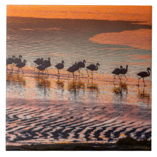Eduardo Abaroa Andean Fauna National Reserve Tile