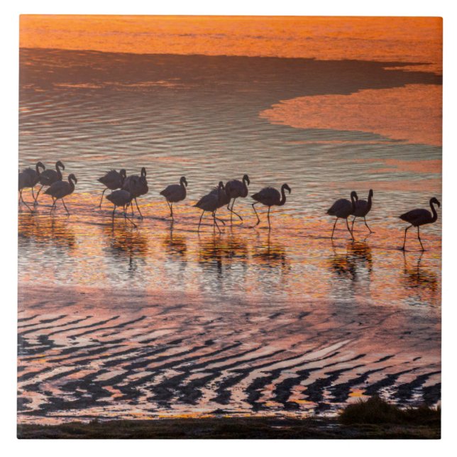 Eduardo Abaroa Andean Fauna National Reserve Tile (Front)