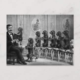 Educated Dogs Postcard