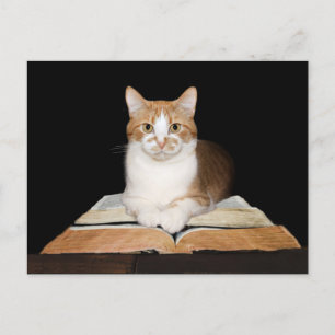 Educated or librarian tabby cat postcard