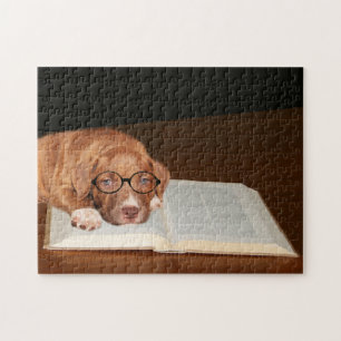 Educated Pitbull Terrier Jigsaw Puzzle