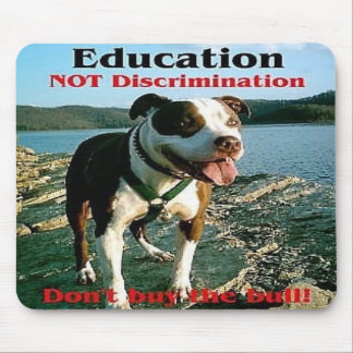 Education not Discrimination mousepad
