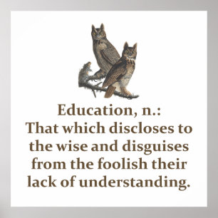 Education Noun - Education Quote   Poster