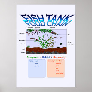 Education, Science, Fish Tank Food Chain Poster