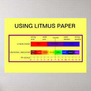 Education, Science, Using Litmus Paper Poster