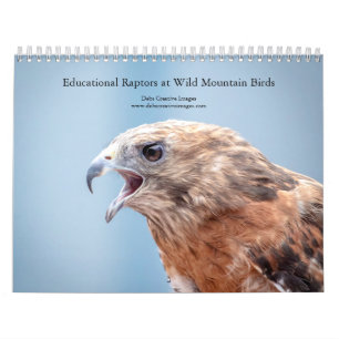 Educational Birds at Wild Mountain Birds 2025 Calendar