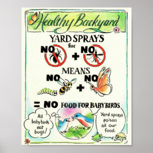 Educational Poster - No Mosquito Spray!