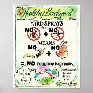 Educational Poster - No Mosquito Spray!