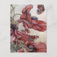 Edward Julius Detmold Poppies And Butterflies