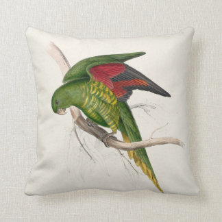 Edward Lear #9-Maton's parrakeet Cushion