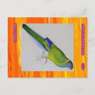 Edward Lear. Bauer's Parakeet. Postcard