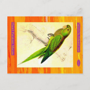 Edward Lear. Dwarf Parakeet Macaw. Postcard