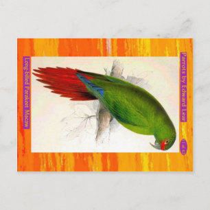 Edward Lear. Long-billed Parakeet Macaw. Postcard
