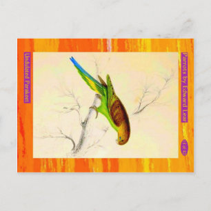 Edward Lear. Undulated Parakeet. Postcard