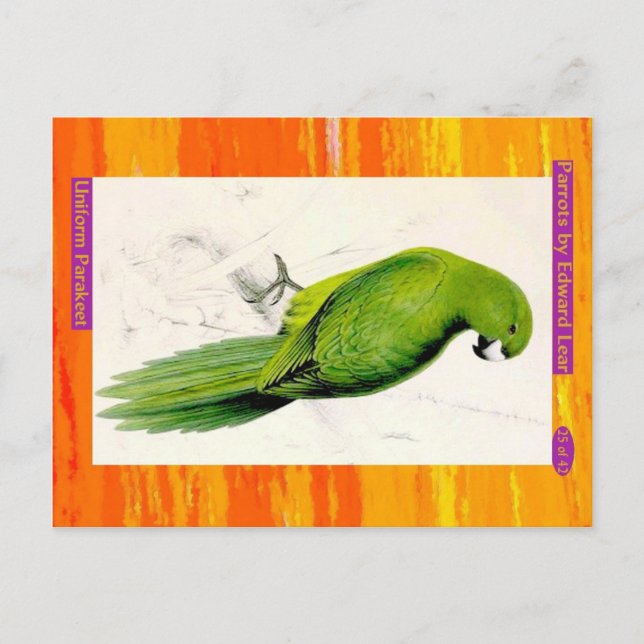 Edward Lear. Uniform Parakeet. Postcard (Front)