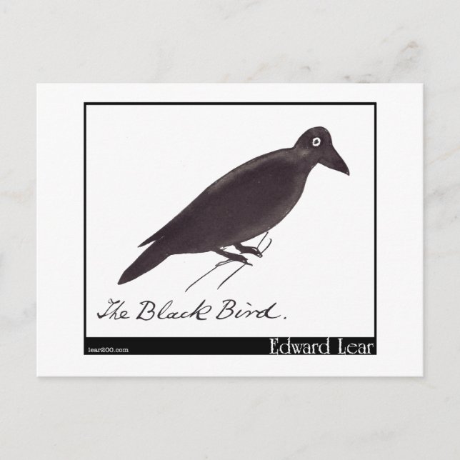Edward Lear's Black Bird Postcard (Front)