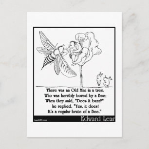 Edward Lear's Old Man in a tree Limerick Postcard