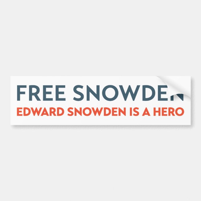 Edward Snowden Hero  Bumper Sticker (Front)