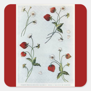 Edwardian Strawberries Sticker