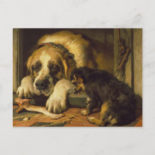 Edwin Henry Landseer   Doubtful Crumbs Postcard