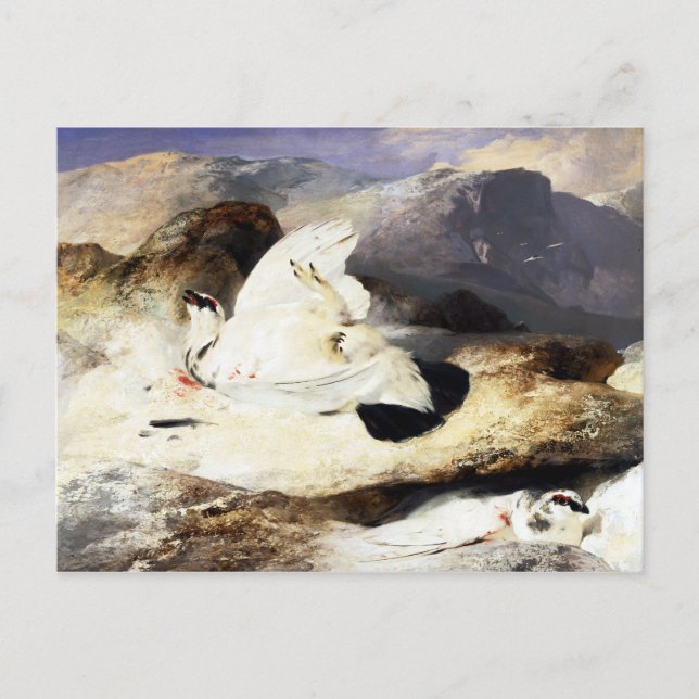Edwin Landseer Ptarmigan in a Landscape Postcard (Front)