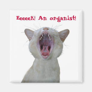 Eeek! An organist! Magnet