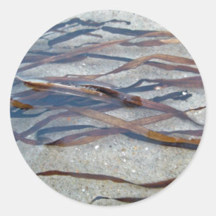 Eel Grass Seaweed Sticker