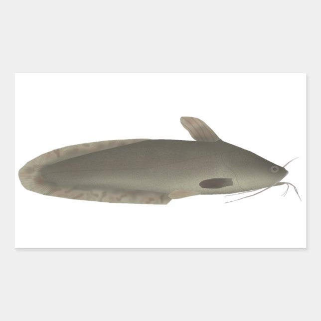 Eeltail Catfish Rectangular Sticker (Front)