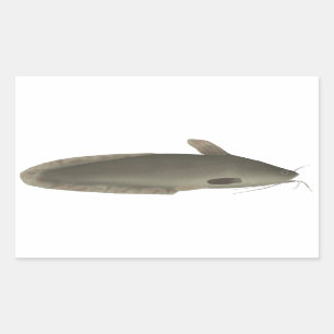 Eeltail Catfish Rectangular Sticker