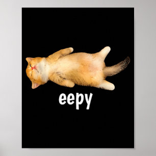 Eepy Cat Meme Funny Sleepy Cat Viral Gen Z Sarcast Poster