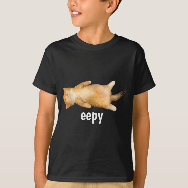 Eepy Cat Meme Funny Sleepy Cat Viral Gen Z Sarcast T-Shirt (Front)