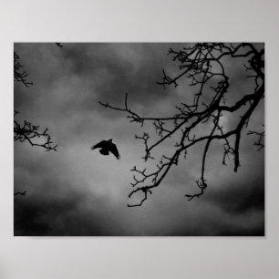 Eerie Bird in Flight Poster