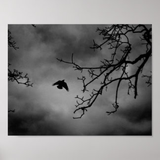 Eerie Bird in Flight Poster