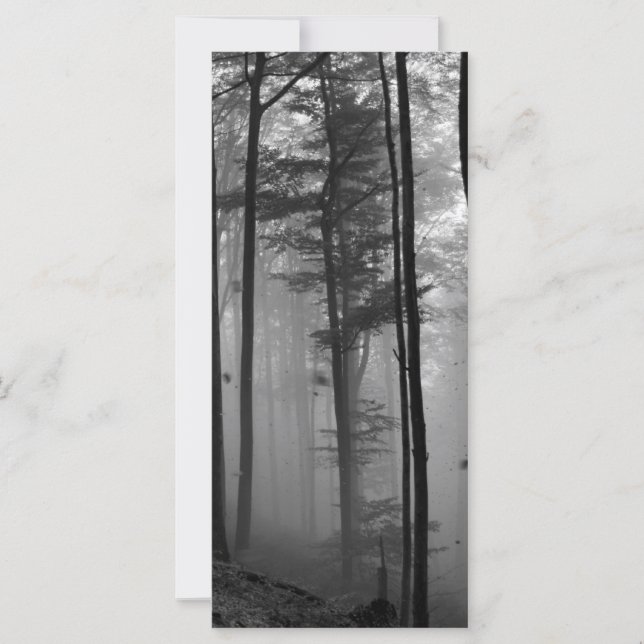 EERIE FOREST TREES LEAVES B&W (Front)