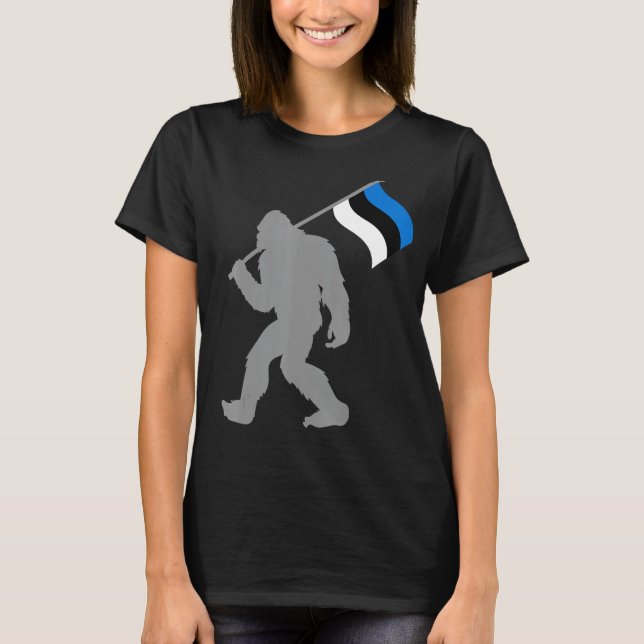 Eesti or Estonian Flag on Estonia Flag T-Shirt (Front)